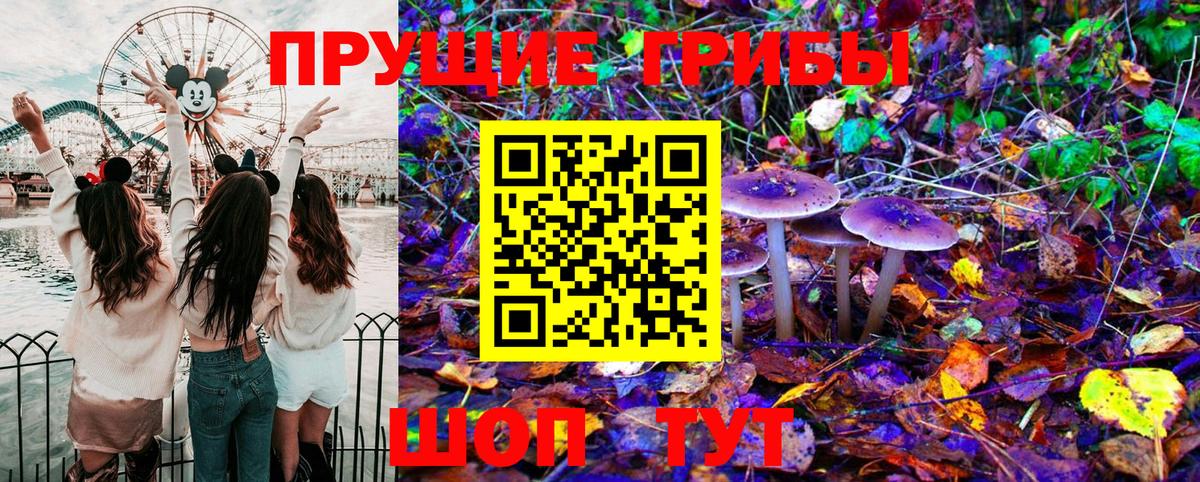 Псилоцибиновые грибы Psilocybine cubensis Котовск